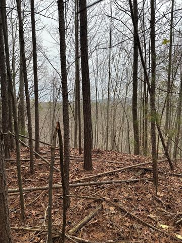 306 Oberlin Court, Ranger, GA 30734