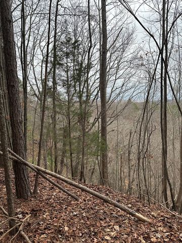 306 Oberlin Court, Ranger, GA 30734