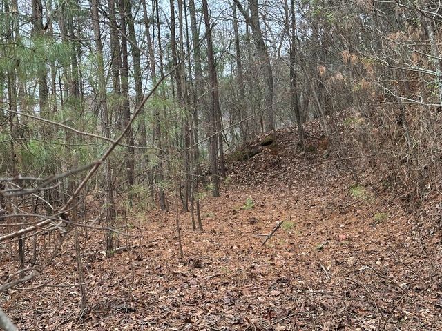 306 Oberlin Court, Ranger, GA 30734