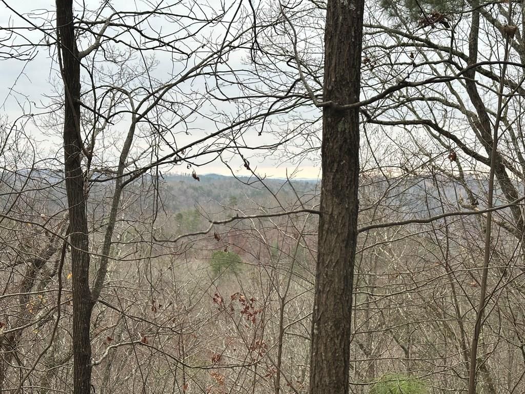 306 Oberlin Court, Ranger, GA 30734