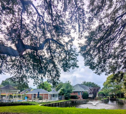 1409 Waterlily Drive, Mount Pleasant, SC 29464