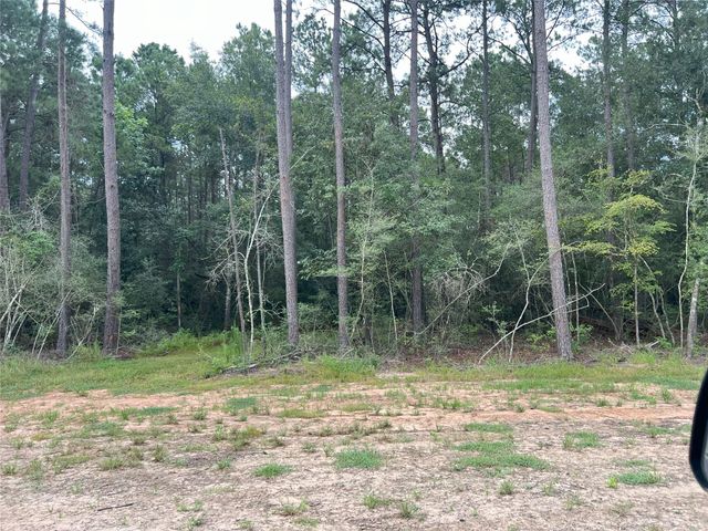 0013 Evergreen Lot 5 Fm 362 Road, Waller, TX 77484