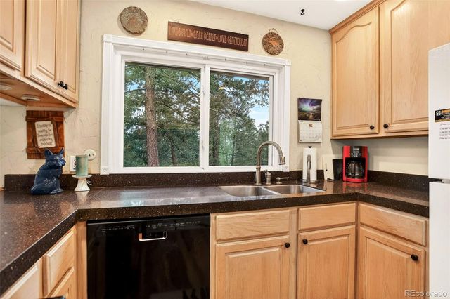 28221 Bonanza Drive, Evergreen, CO 80439