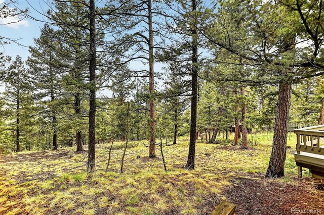 28221 Bonanza Drive, Evergreen, CO 80439
