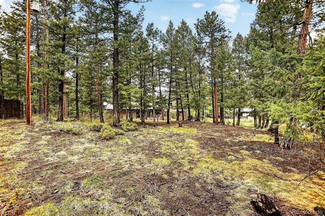 28221 Bonanza Drive, Evergreen, CO 80439