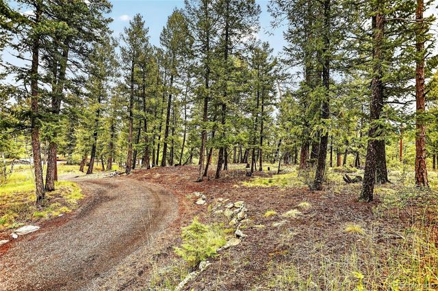 28221 Bonanza Drive, Evergreen, CO 80439
