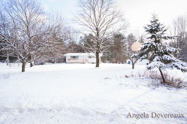 6040 N Hillman Road, Six Lakes, MI 48886