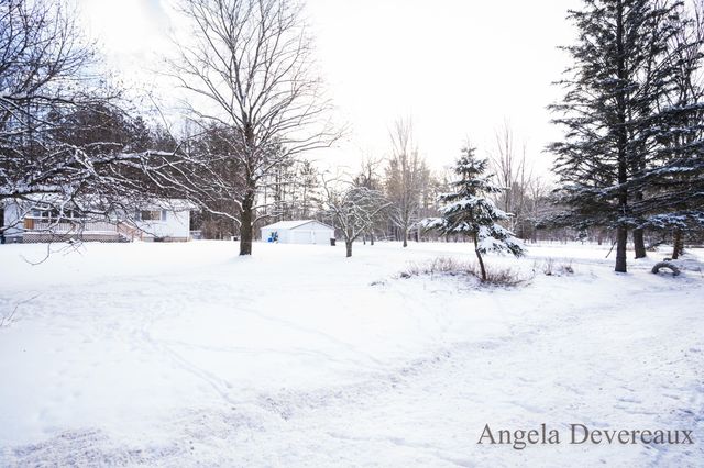 6040 N Hillman Road, Six Lakes, MI 48886