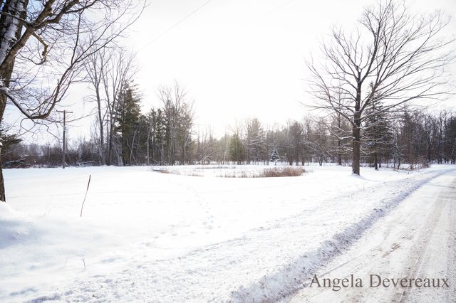 6040 N Hillman Road, Six Lakes, MI 48886