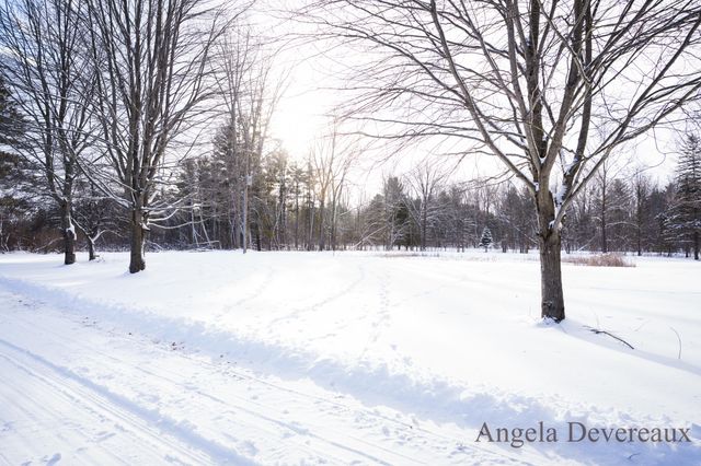 6040 N Hillman Road, Six Lakes, MI 48886