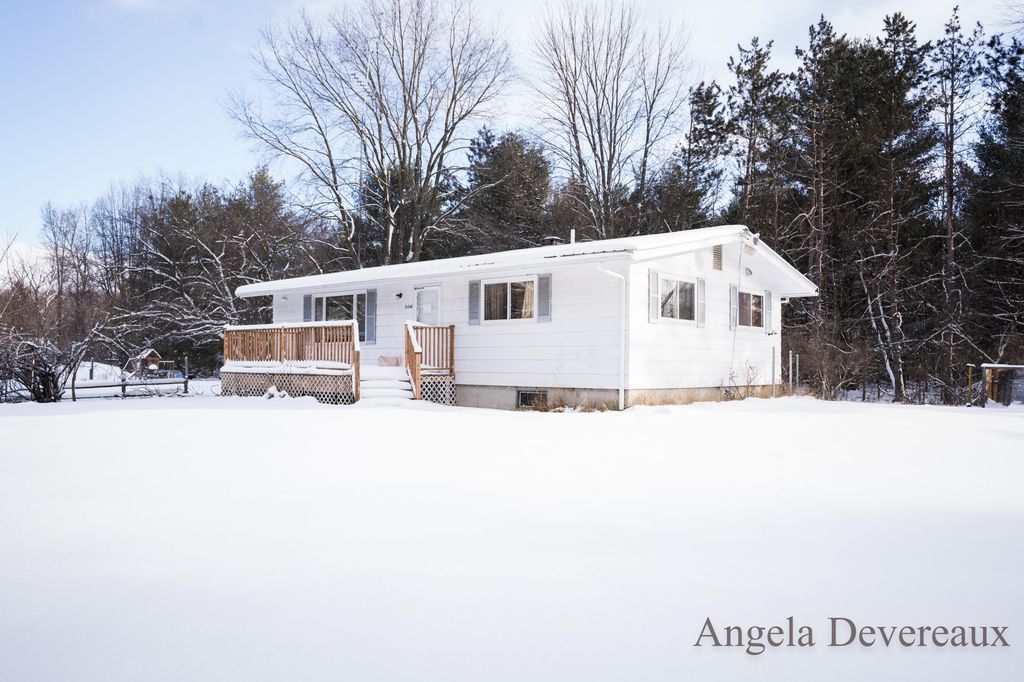 6040 N Hillman Road, Six Lakes, MI 48886