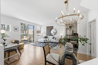 101 Blossom Circle 2C, San Mateo, CA 94403