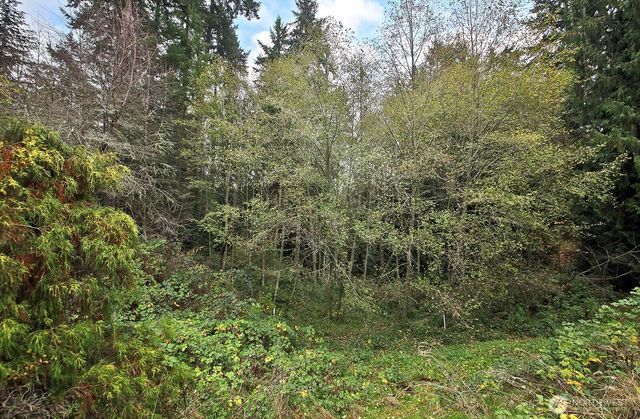 4369 Shadowood Drive, Clinton, WA 98236