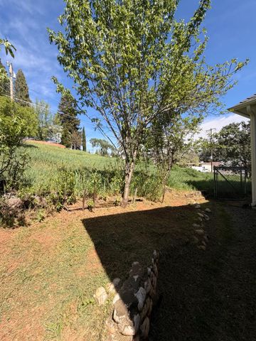 33 Kneeland St, Colfax, CA 95713