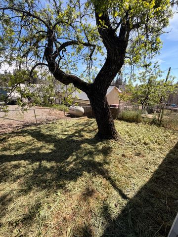 33 Kneeland St, Colfax, CA 95713