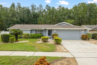 5330 BLACK PINE DRIVE, Tampa, FL 33624