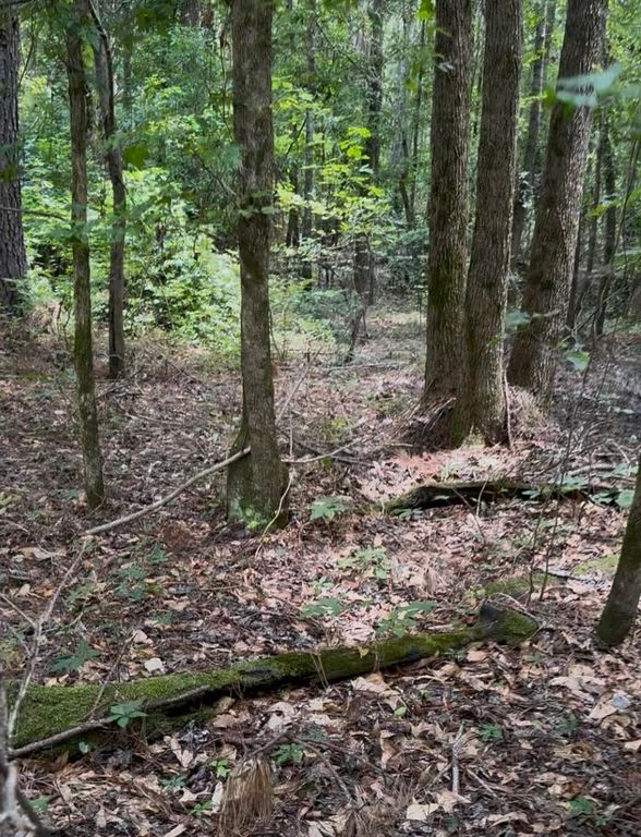 0 Walker Rd, Edgefield, SC 29824