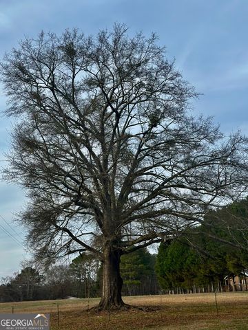 229 Meadows Road, Newborn, GA 30056