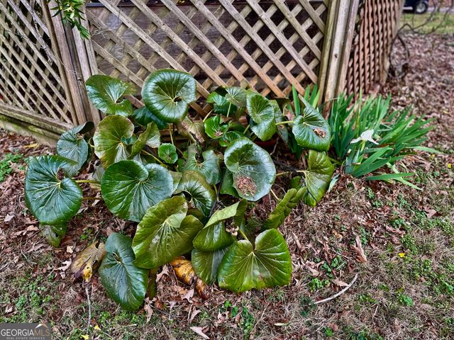 229 Meadows Road, Newborn, GA 30056