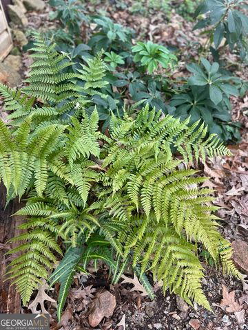 229 Meadows Road, Newborn, GA 30056