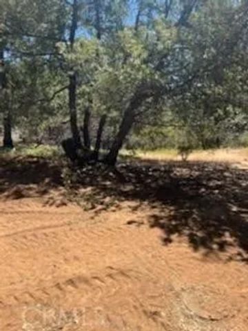 24201 Canterbury Road, Pioneer, CA 95666