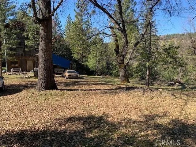 24201 Canterbury Road, Pioneer, CA 95666