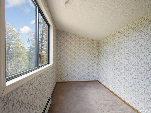 89 Prospectors Way, Bailey, CO 80421