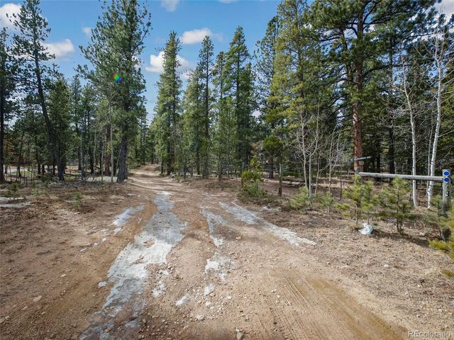 89 Prospectors Way, Bailey, CO 80421