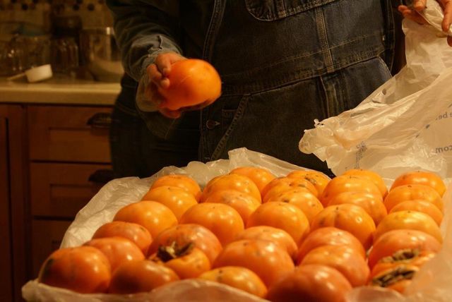 740 Little Rock Creek Road, Cherry Log, GA 30522