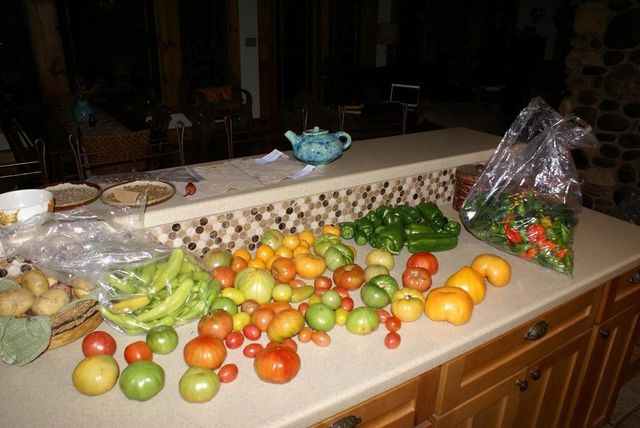 740 Little Rock Creek Road, Cherry Log, GA 30522