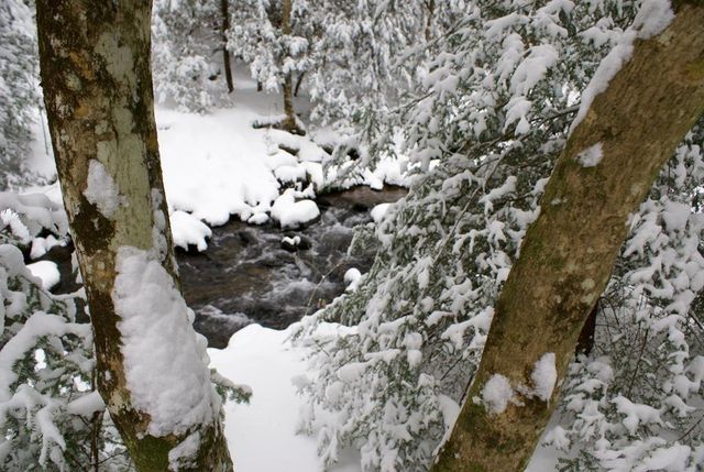 740 Little Rock Creek Road, Cherry Log, GA 30522