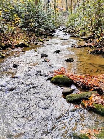 740 Little Rock Creek Road, Cherry Log, GA 30522