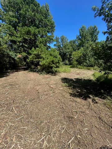 1111 Gilmer Road, Winnsboro, TX 75494