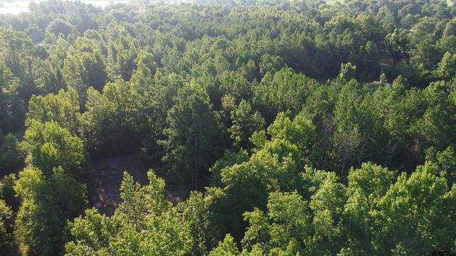 1111 Gilmer Road, Winnsboro, TX 75494