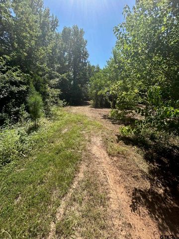 1111 Gilmer Road, Winnsboro, TX 75494