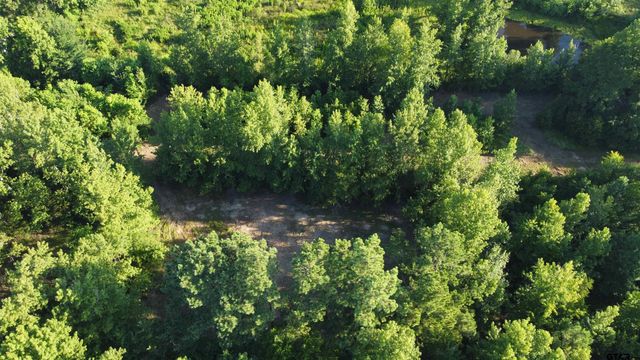 1111 Gilmer Road, Winnsboro, TX 75494