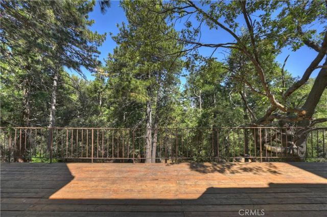 550 Coyote Trail, Cedarpines Park, CA 92325