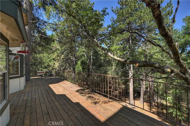 550 Coyote Trail, Cedarpines Park, CA 92325
