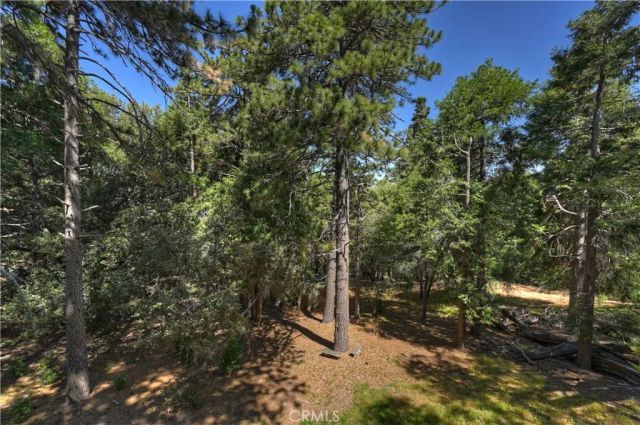 550 Coyote Trail, Cedarpines Park, CA 92325
