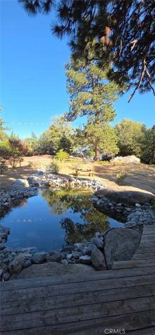 550 Coyote Trail, Cedarpines Park, CA 92325