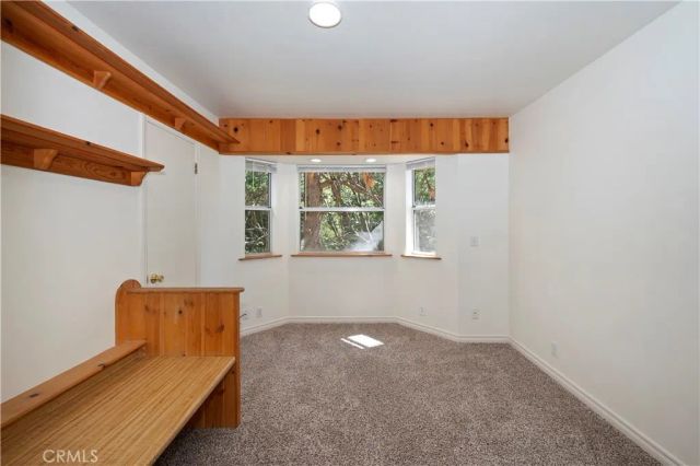 550 Coyote Trail, Cedarpines Park, CA 92325