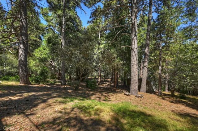 550 Coyote Trail, Cedarpines Park, CA 92325