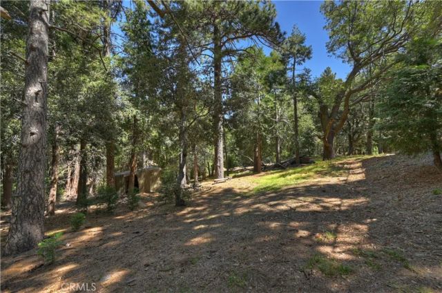 550 Coyote Trail, Cedarpines Park, CA 92325