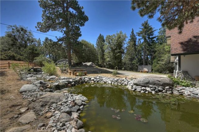 550 Coyote Trail, Cedarpines Park, CA 92325