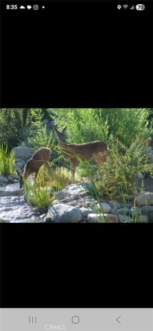 550 Coyote Trail, Cedarpines Park, CA 92325