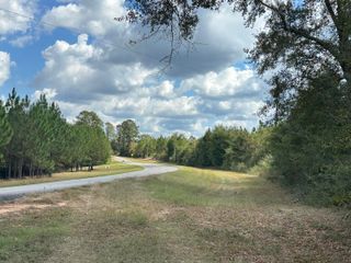 A-E New Ebenezer Road, Laurel Hill, FL 32567