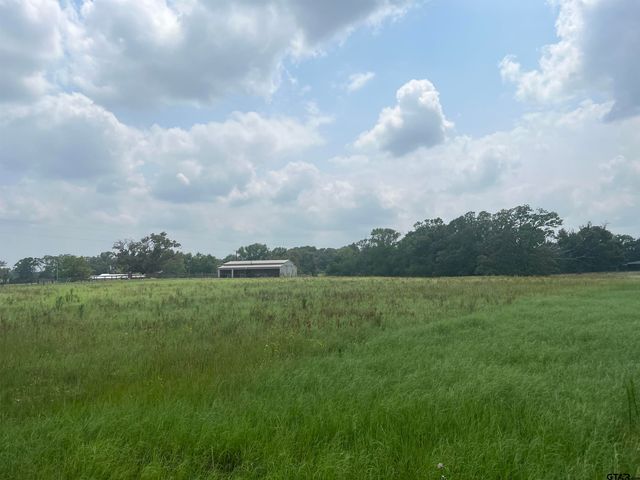 Lot 23 cr 3312, Chandler, TX 75758