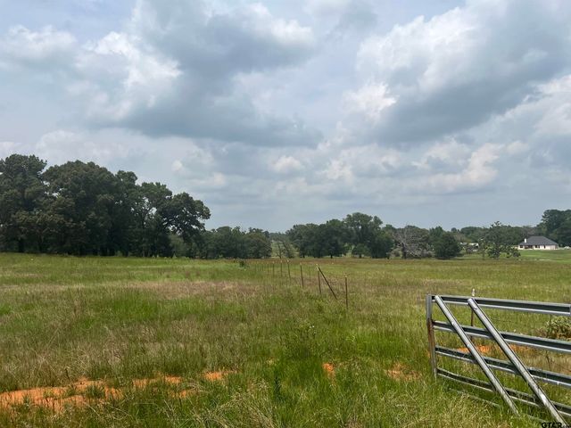 Lot 23 cr 3312, Chandler, TX 75758