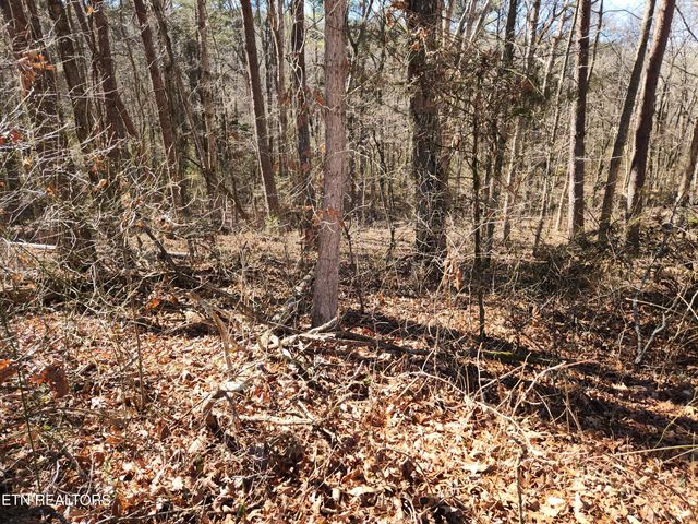 Creek Rd, Sweetwater, TN 37874