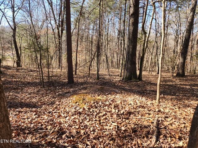 Creek Rd, Sweetwater, TN 37874